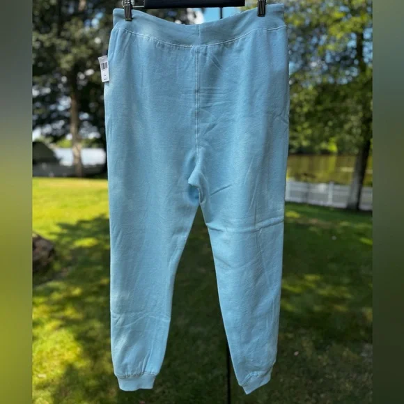 Walt Disney World Resort Castle Light Baby Blue Jogger Pant Sweatpants Pant - Picture 4 of 10